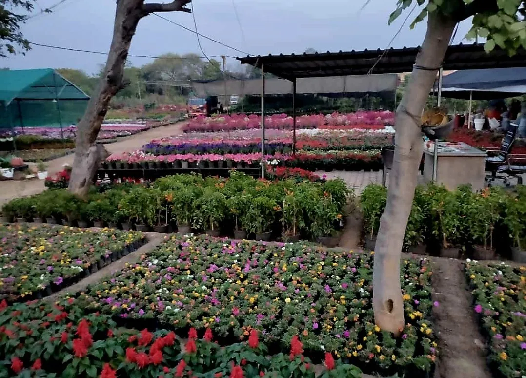 1000140893.jpg
