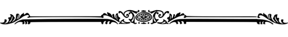 WTX13 divider-7551961_640 cropped rz.png