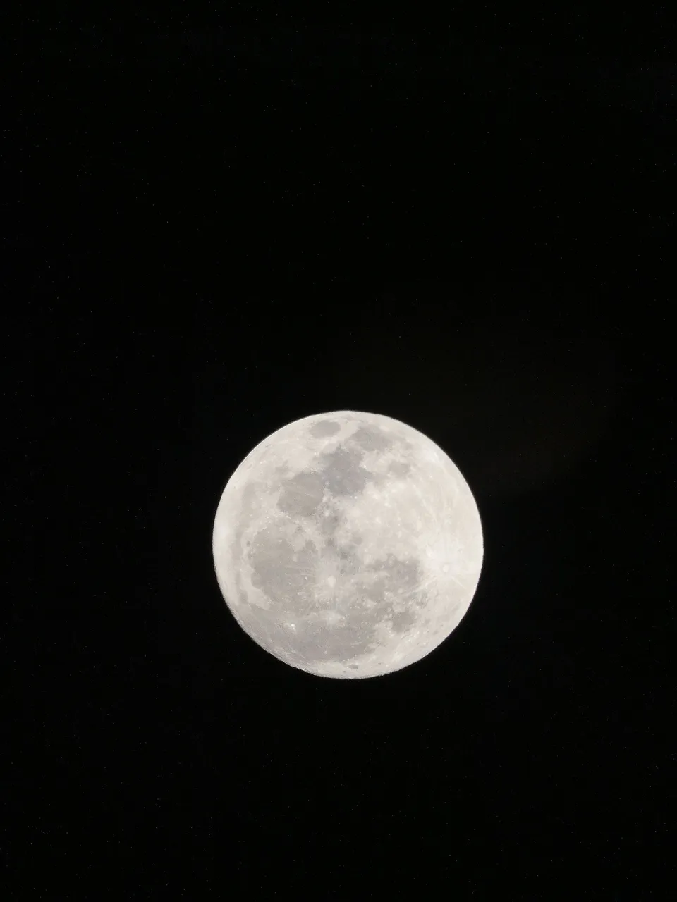 IMG_20240523_014832_746.JPG