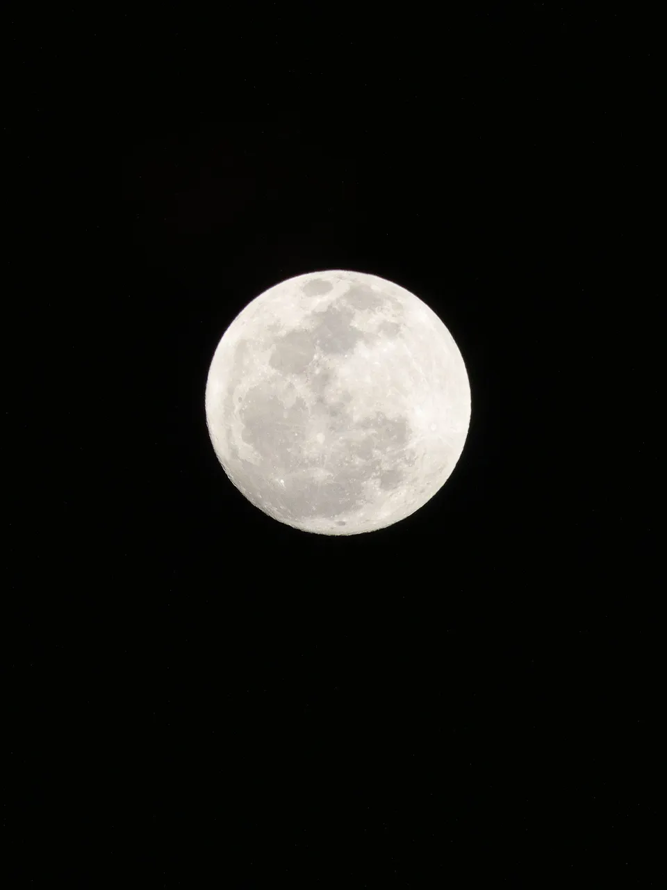 IMG_20240523_014825_887.JPG