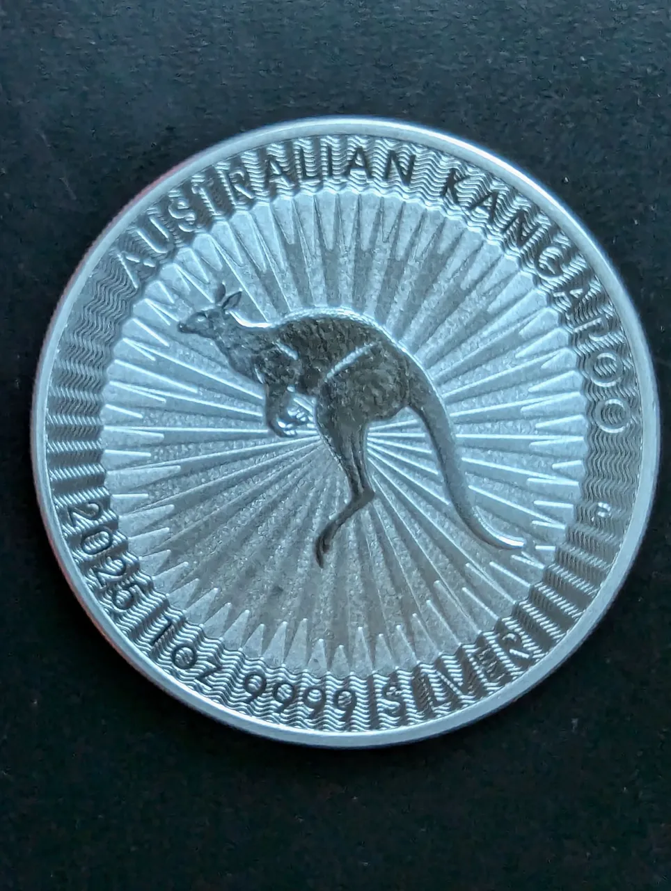1000005876.jpg