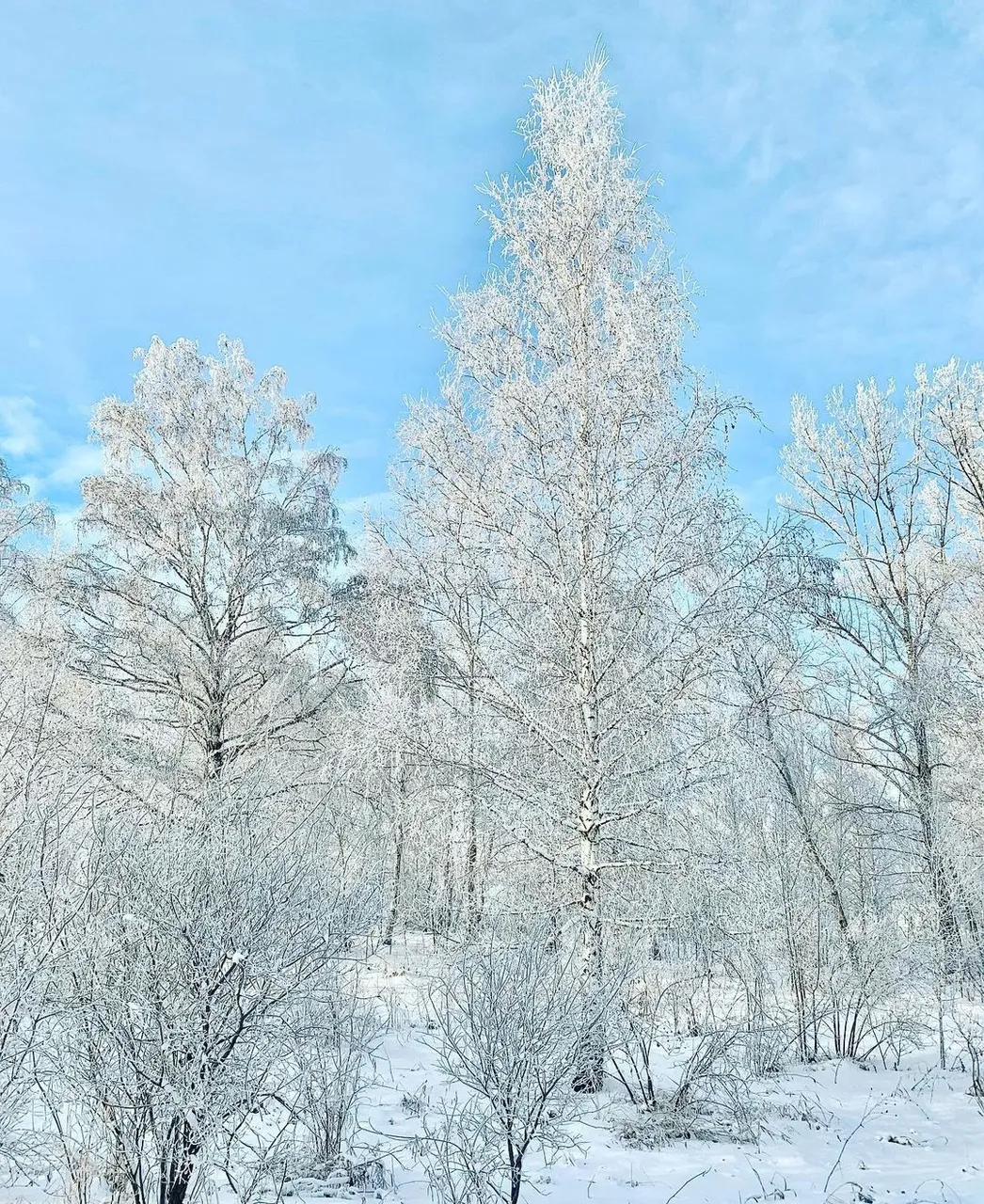 PSX_20210310_075715.jpg