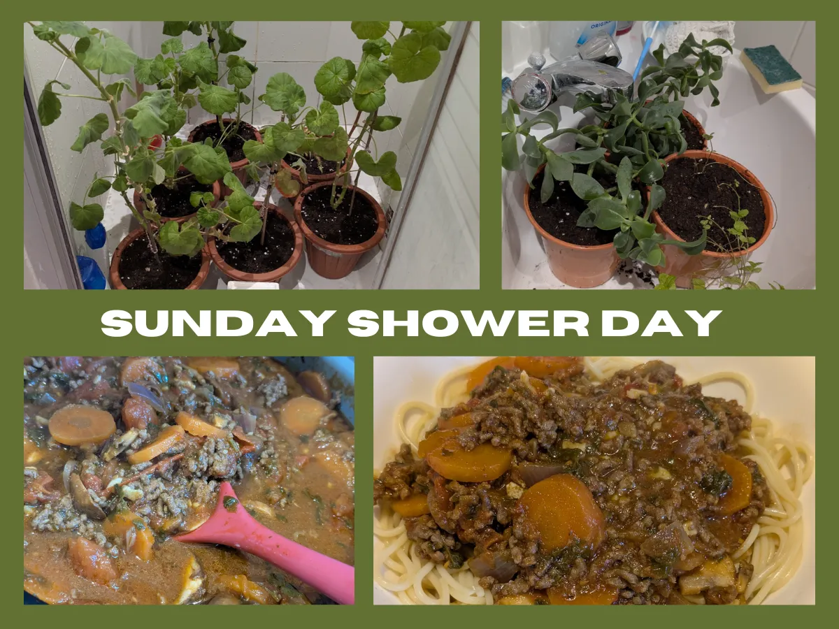 Sunday Shower Day.png