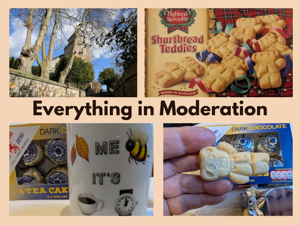 _Everything in Moderation.png