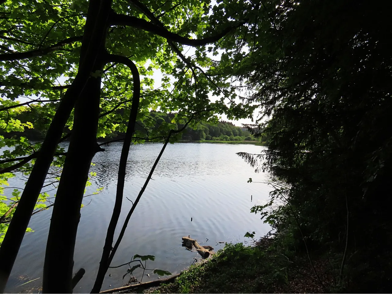 4899 Wed walk28 june  view of far end of lake.png