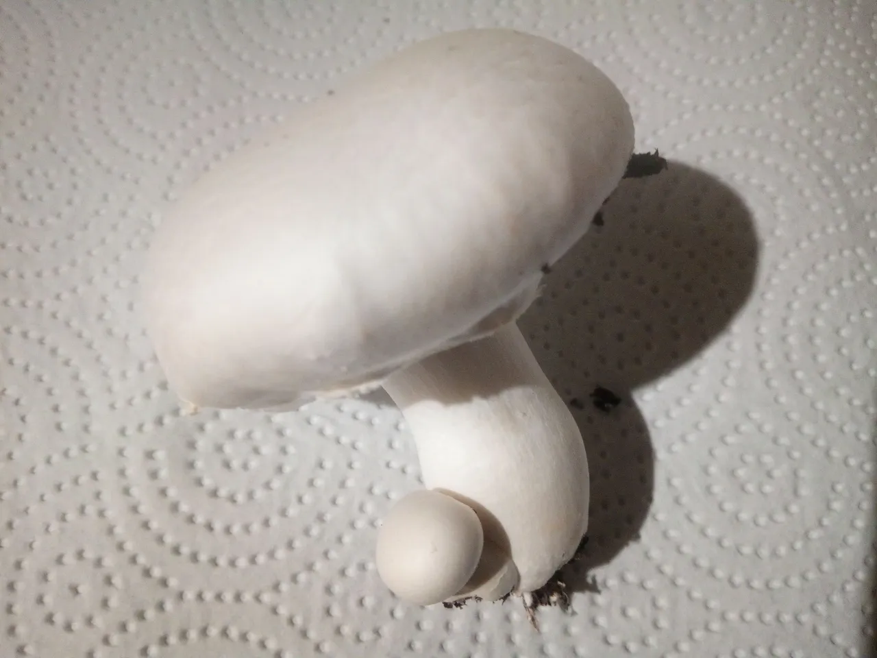 IMG_20200822_215125.jpg