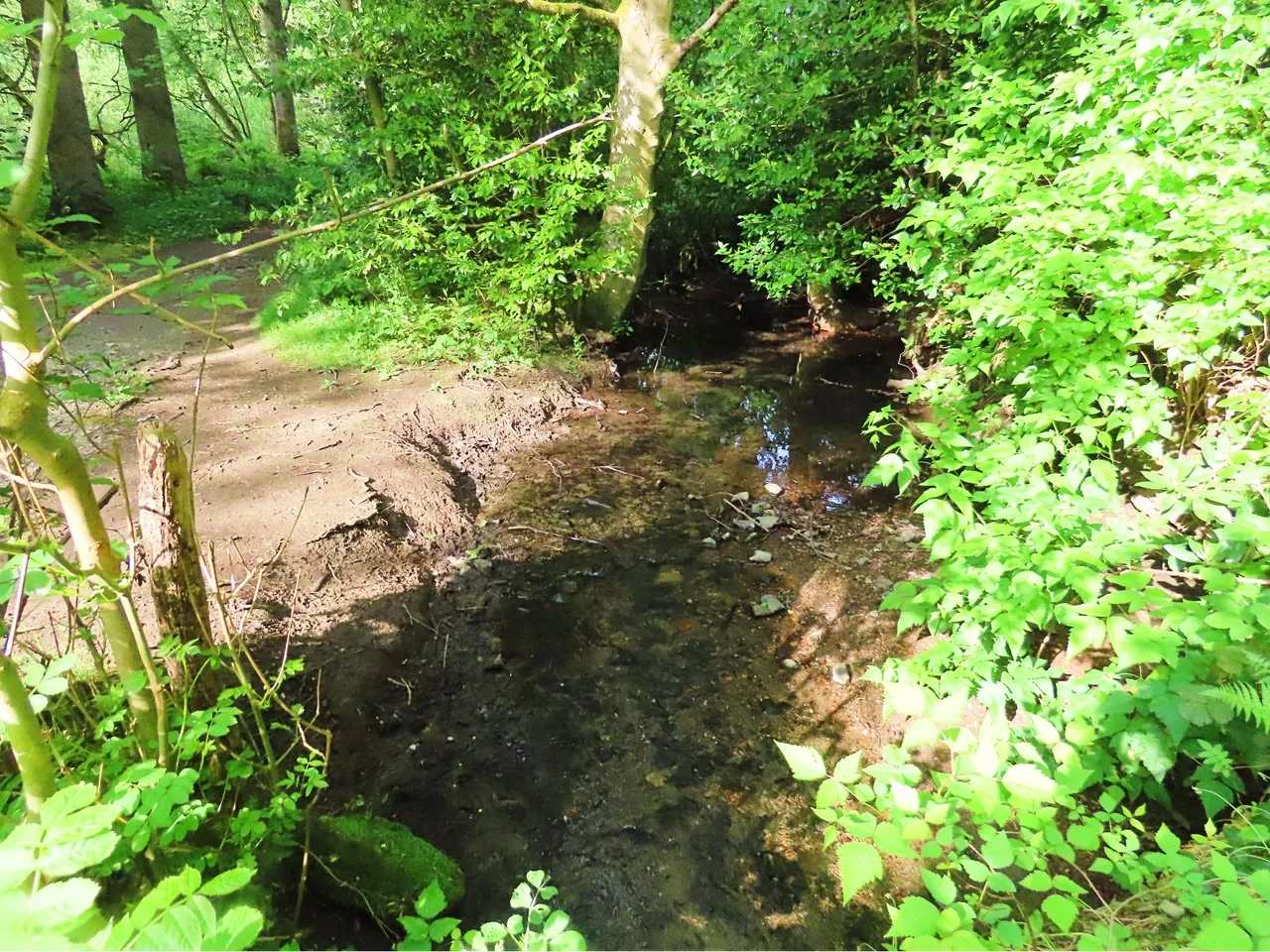 4859 Wed walk28 june  burn.png