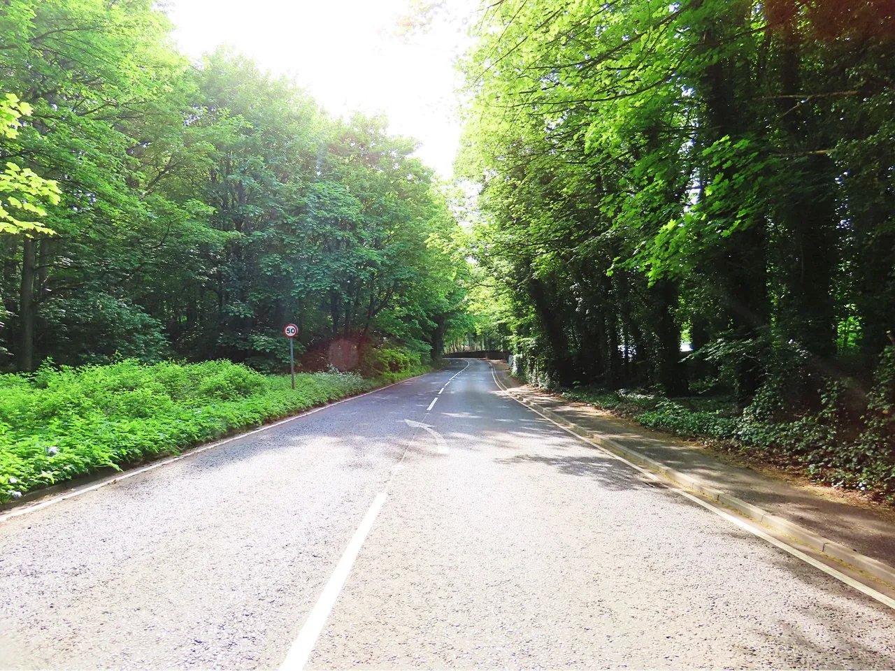 4842 Wed walk28 june road crossing.png