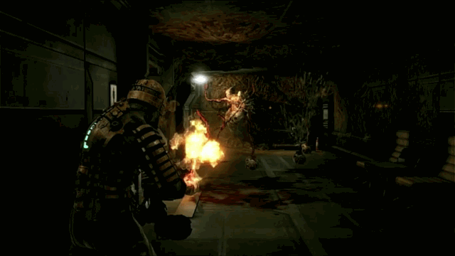 6.gif