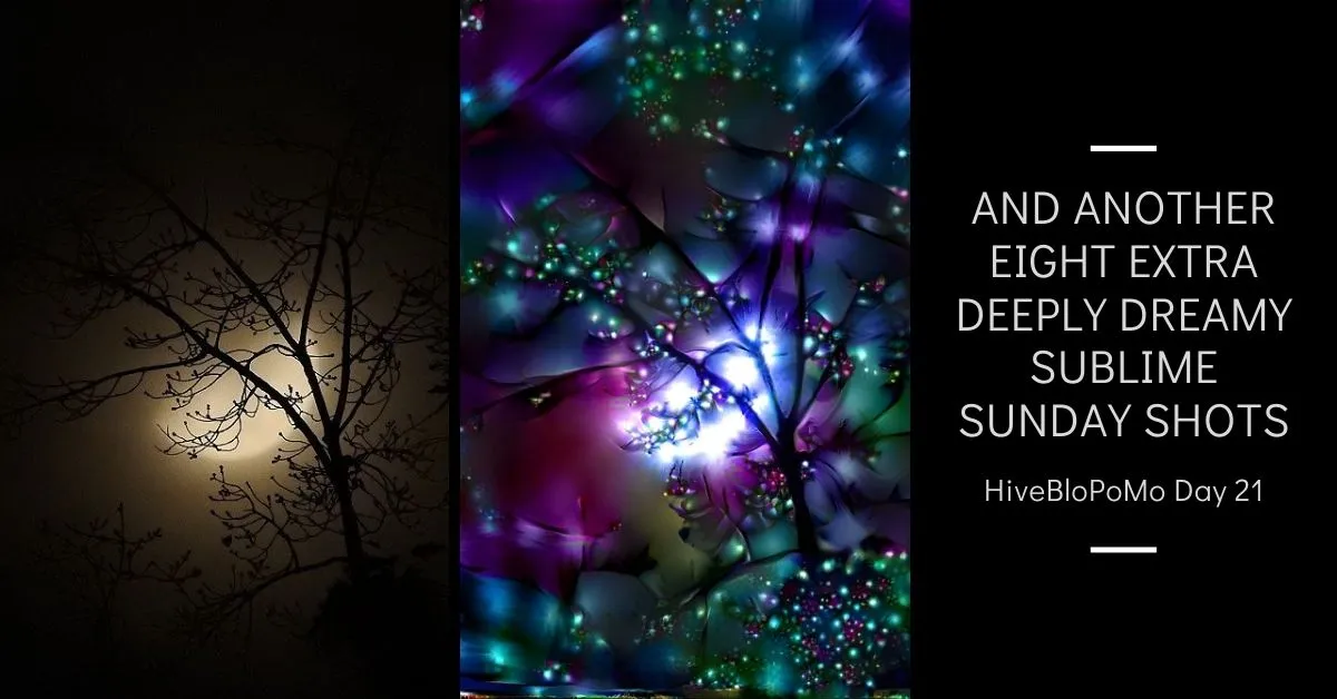 And Another Eight Extra Deeply Dreamy Sublime Sunday Shots blog thumbnail.jpg