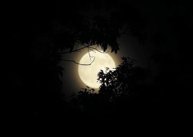 10. Full Moon from May 26 2021.jpg