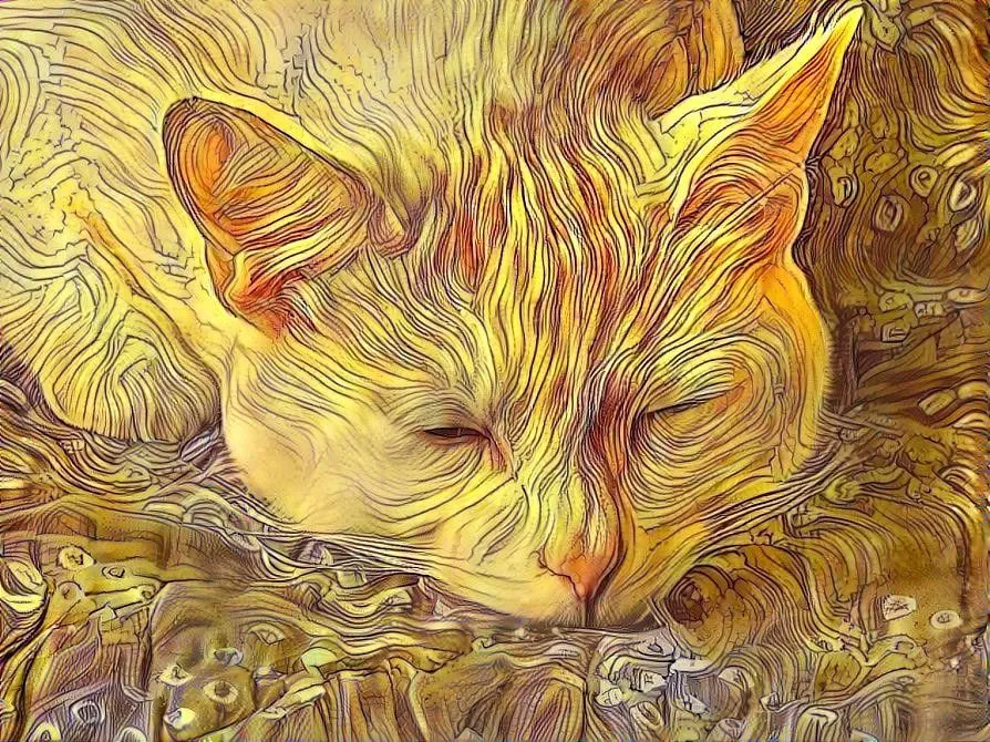5. Caturday 1 DDG.jpg