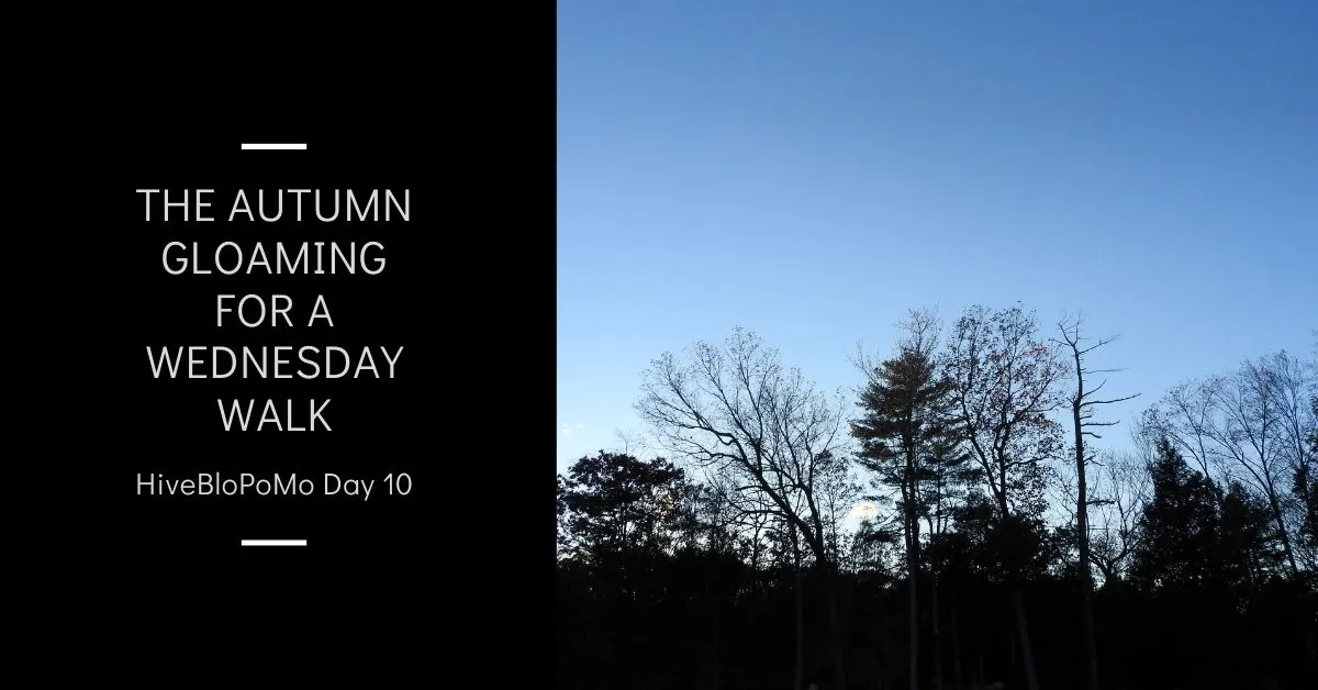 The Autumn Gloaming for a Wednesday Walk blog thumbnail.jpg
