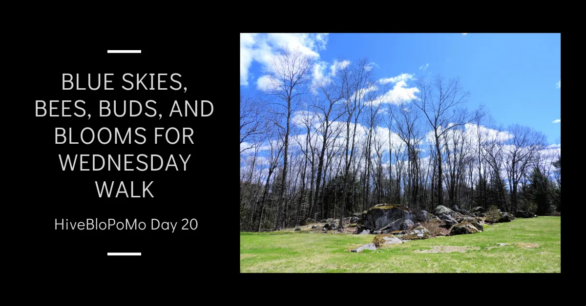 Blue Skies, Bees, Buds, and Blooms for Wednesday Walk blog thumbnail.png