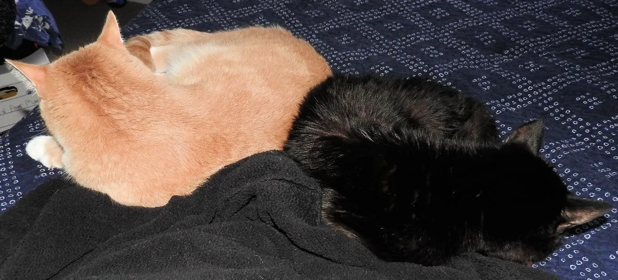 9. Freddie and Sid.jpg