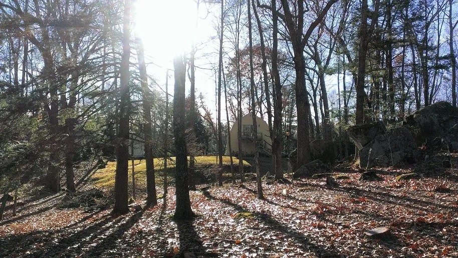 1. November 11 2013 IMAG1041.jpg