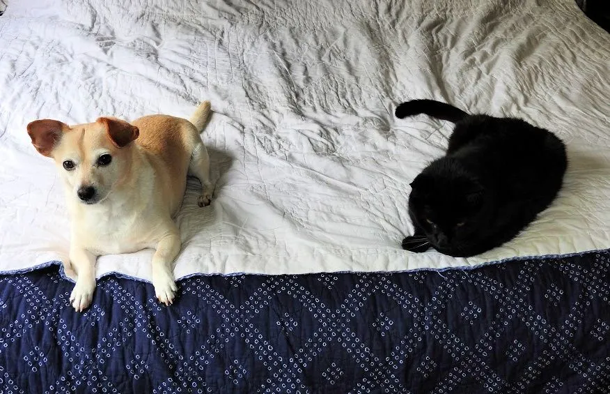 6. Sandy and Sid.jpg