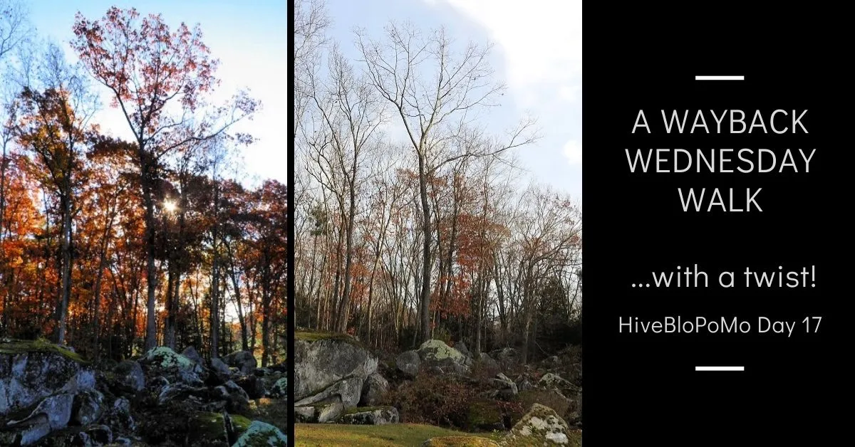 A Wayback Wednesday Walk... with a twist! blog thumbnail.jpg