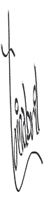 TRINABRIL FIRMA   GRIS OSC    P  O  S  T  .png