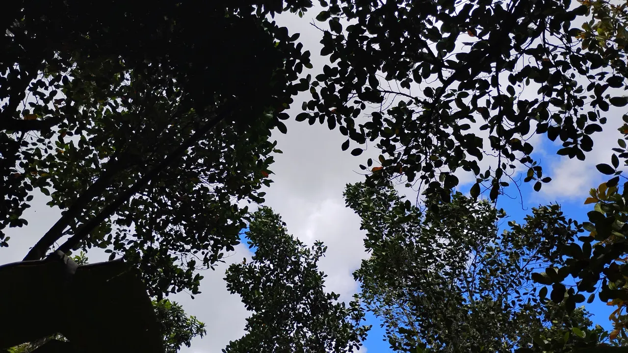 1000018317.jpg