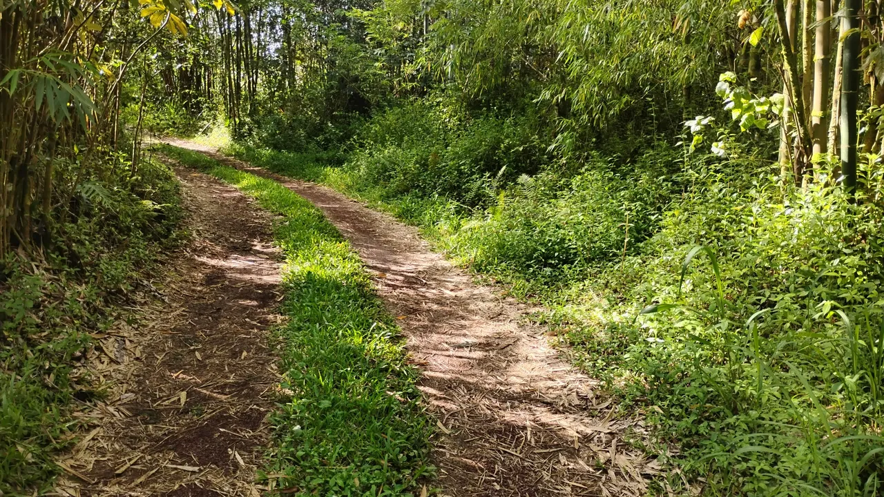IMG_20250727_161732179_HDR.jpg