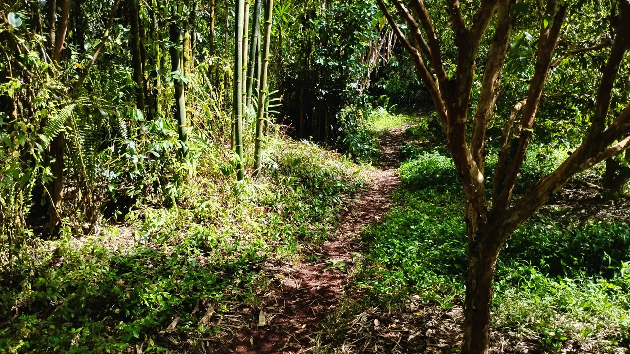 IMG_20250807_145206388_HDR.jpg