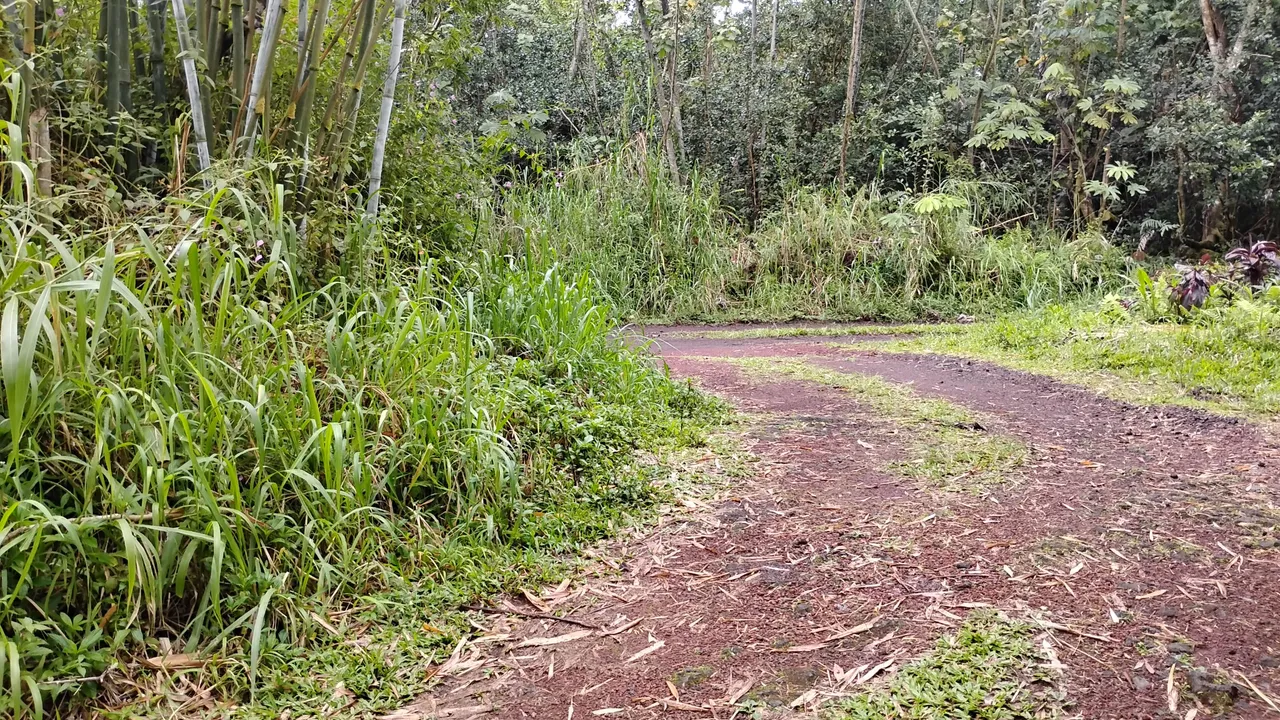 1000010709.jpg