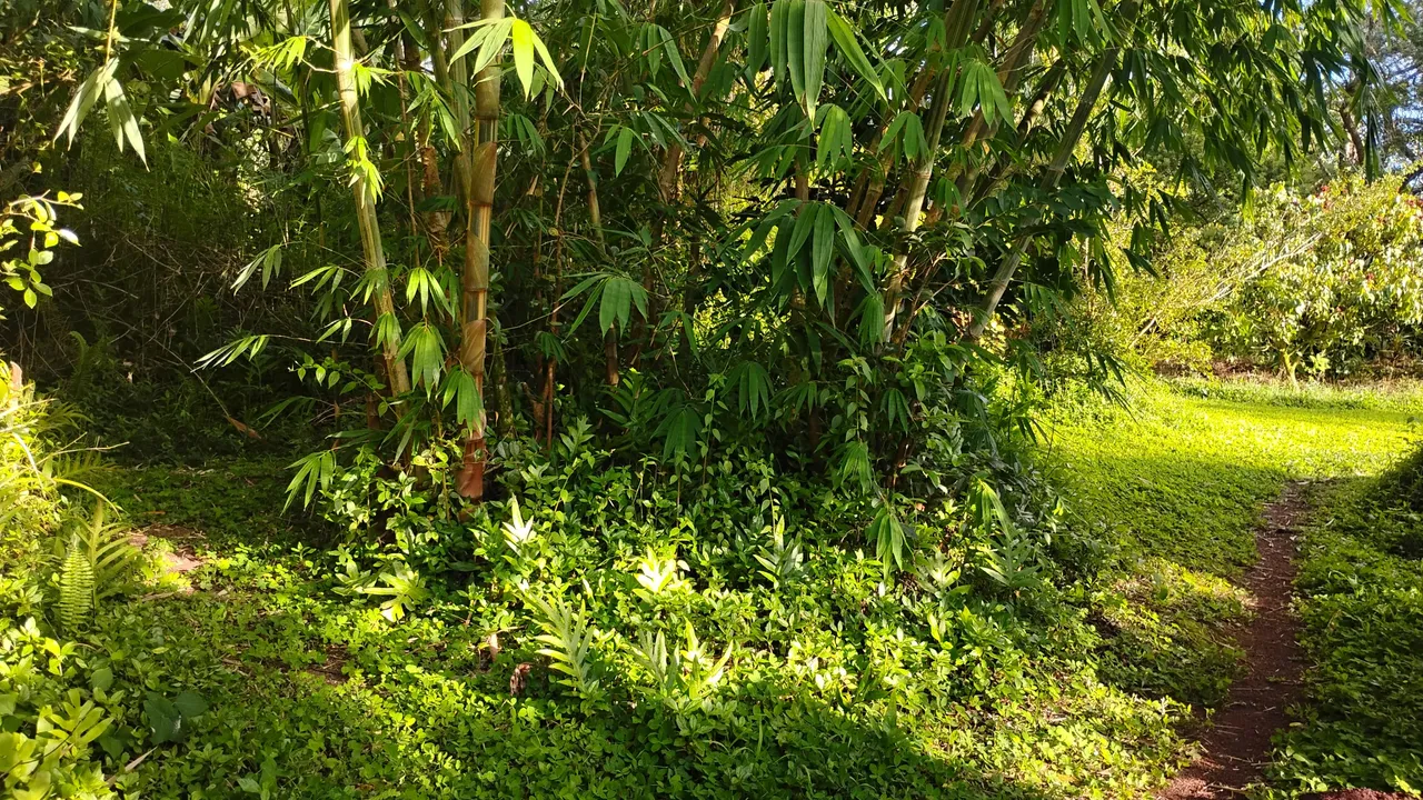 IMG_20250725_173633143.jpg