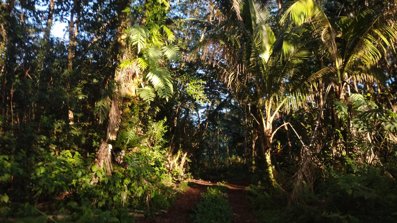 IMG_20250722_181659212_HDR.jpg