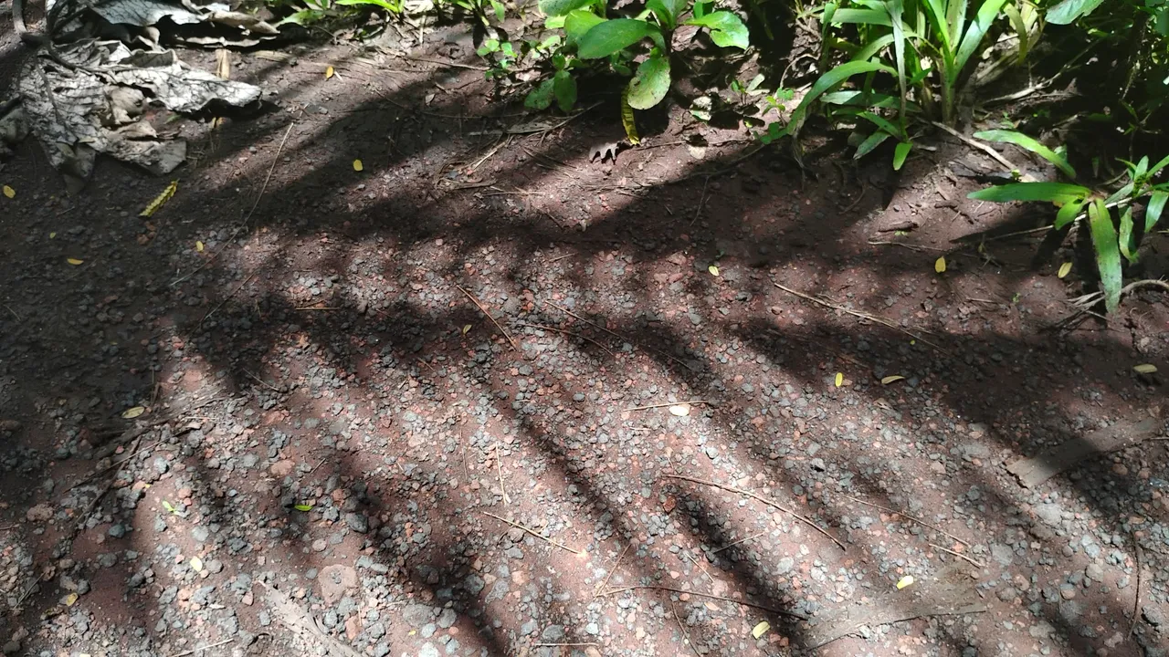 1000011969.jpg