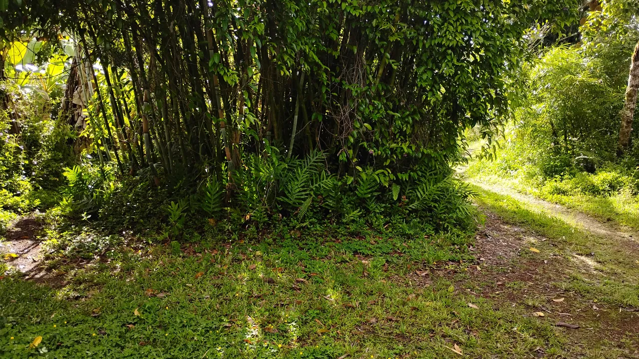 IMG_20250803_084115691.jpg