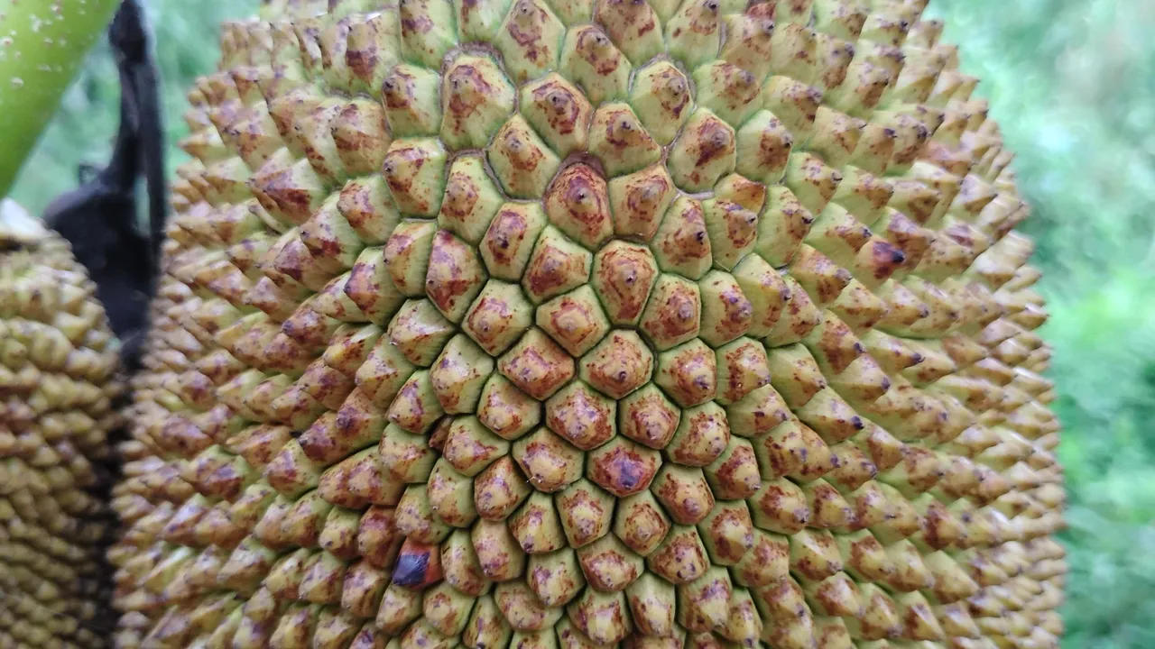 1000017951.jpg
