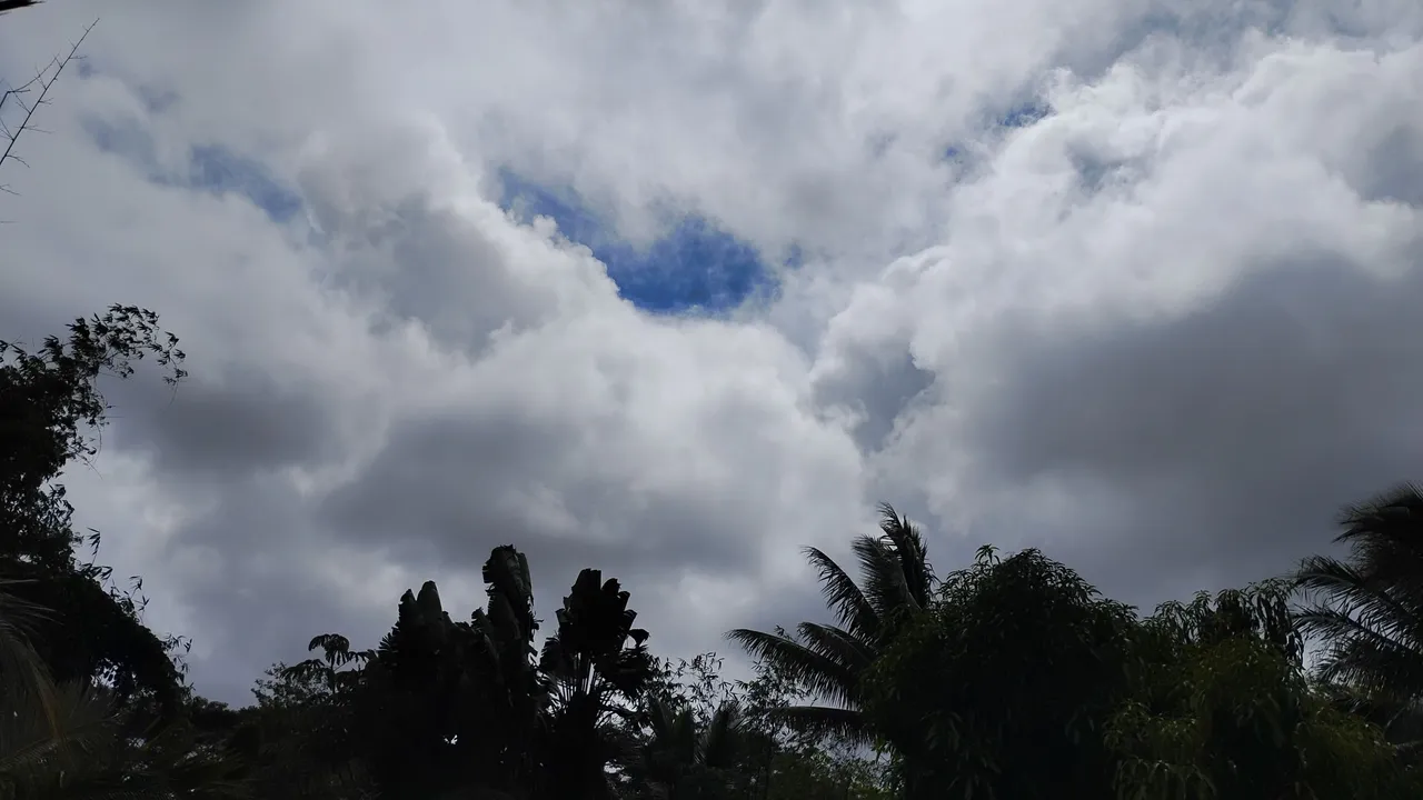 1000020347.jpg