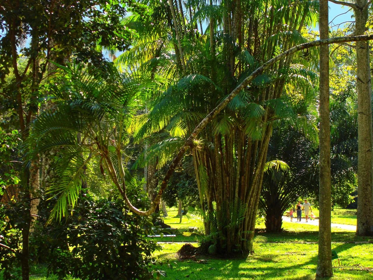 Jardim Botânico