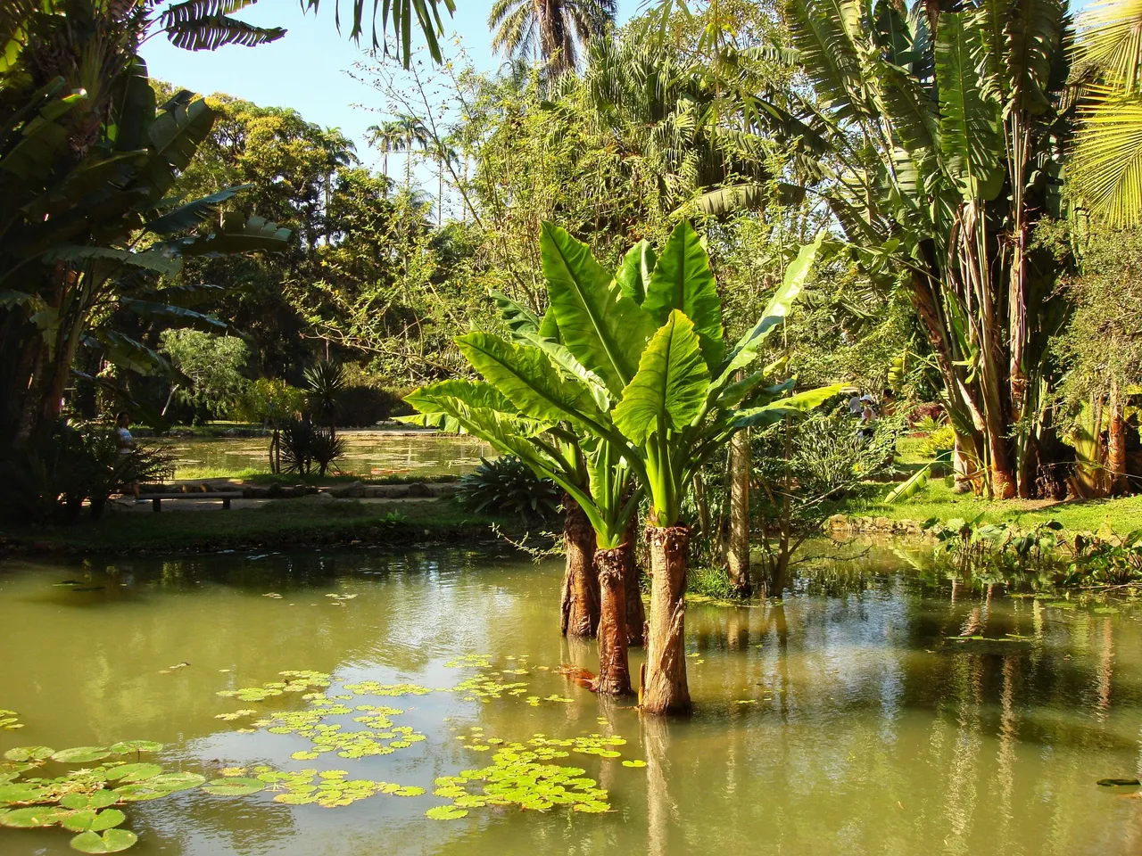 Lago Frei Leandro