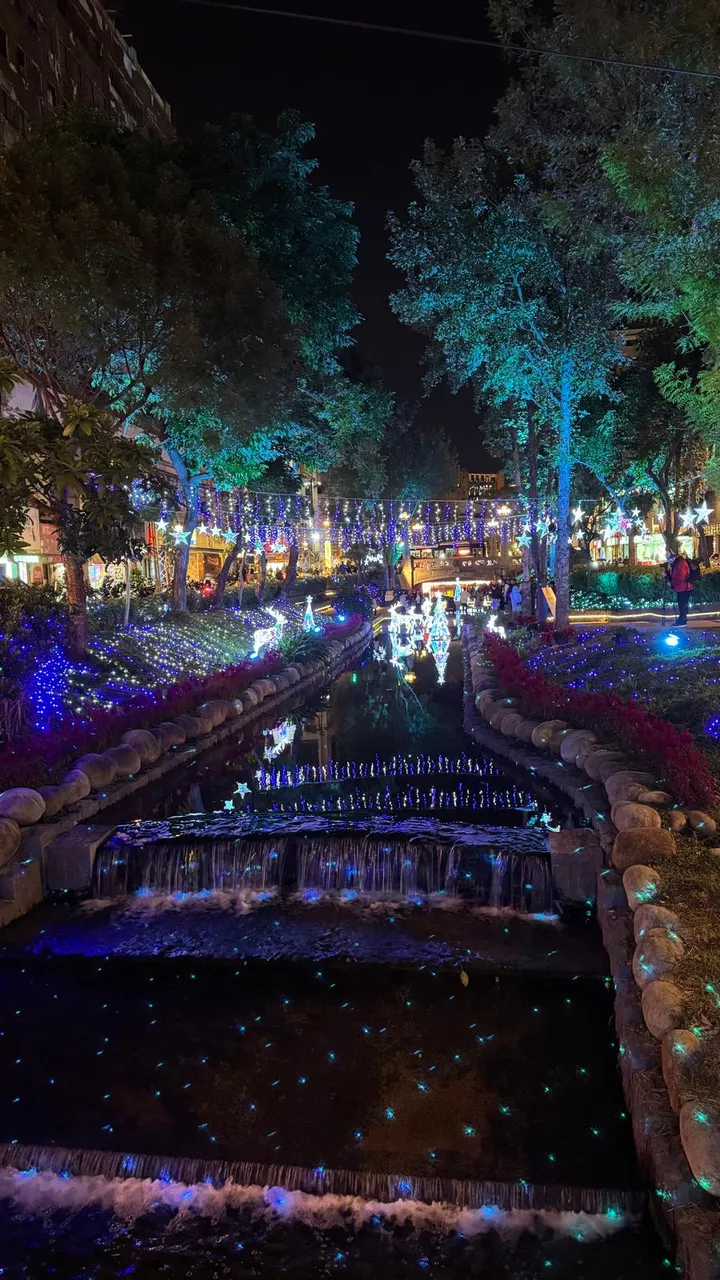 Lighted Up Canal