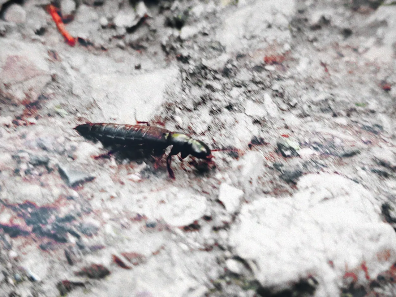 20210926_140939-3.jpg