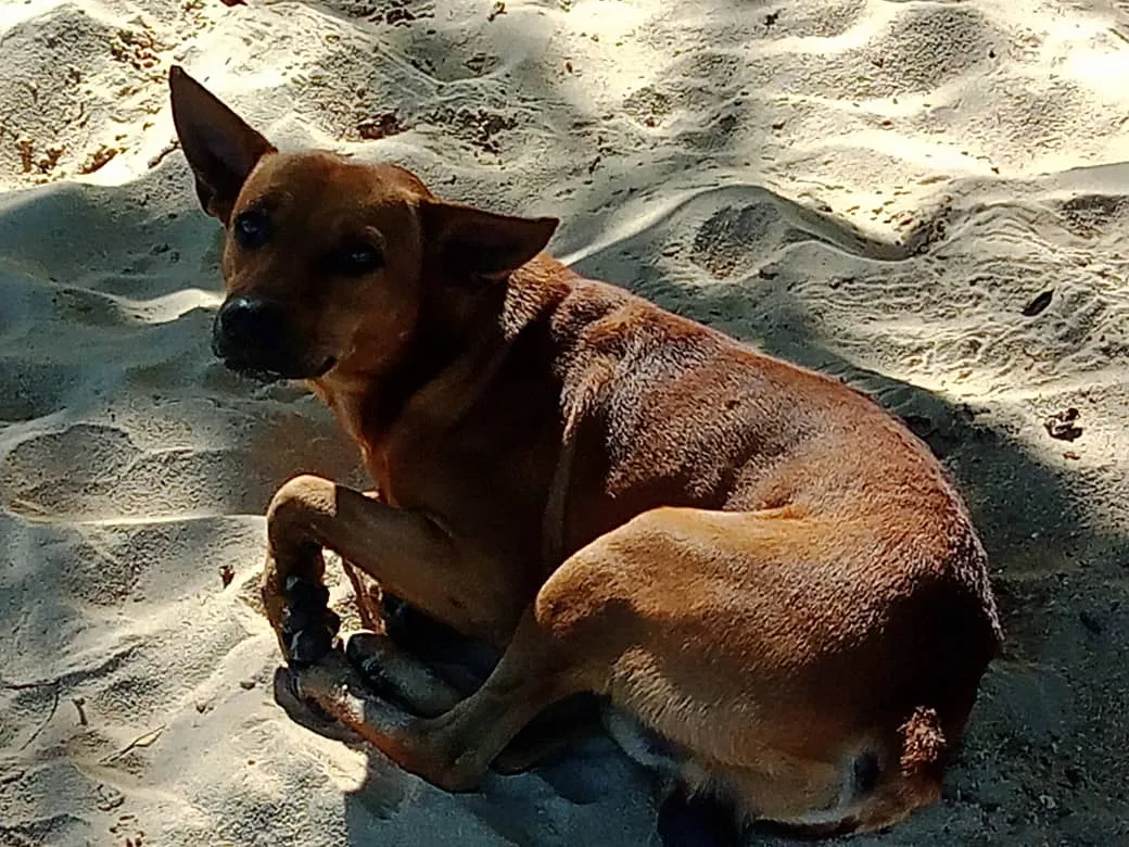 Playa San Luis (17).jpeg