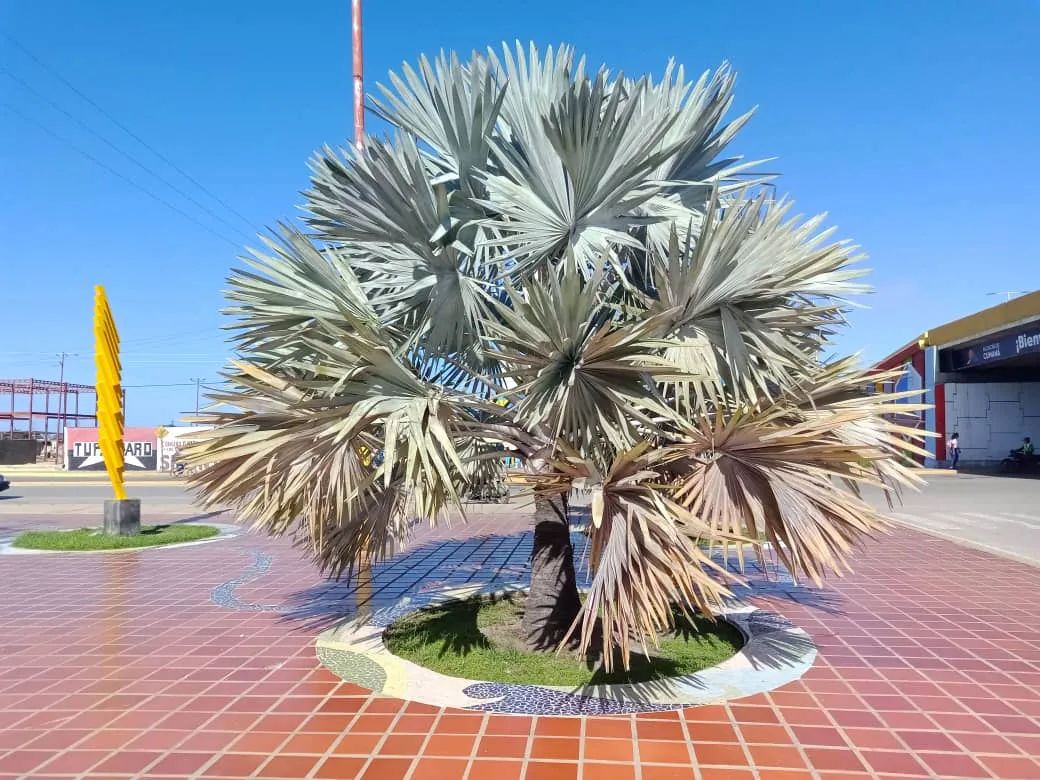 Playa San Luis (38).jpeg