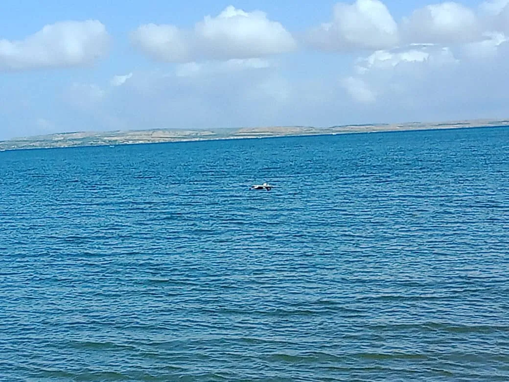 Playa San Luis (34).jpeg