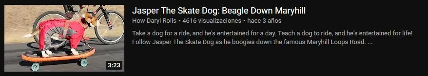dog sk8.JPG