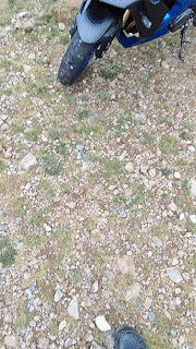 VID_20220730_133410_AdobeExpress.gif