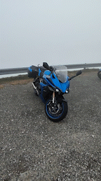 VID_20220730_150150_AdobeExpress.gif