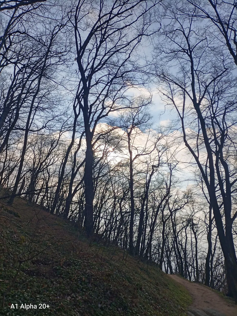 IMG_20250302_151405.jpg