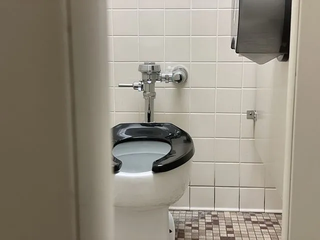 toilet-6343979__480.jpg
