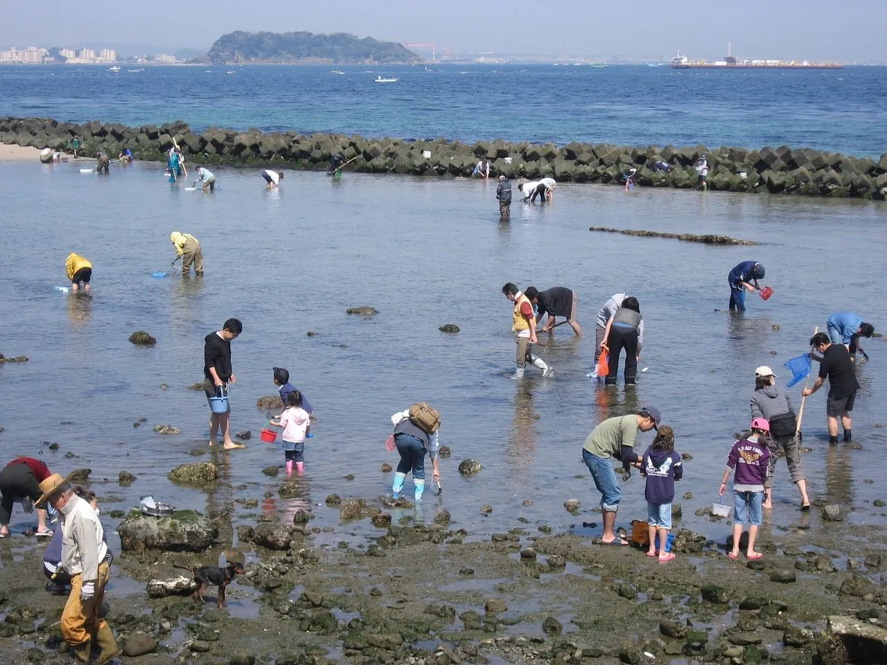 hashirimizu-beach-1308032_1280.jpg