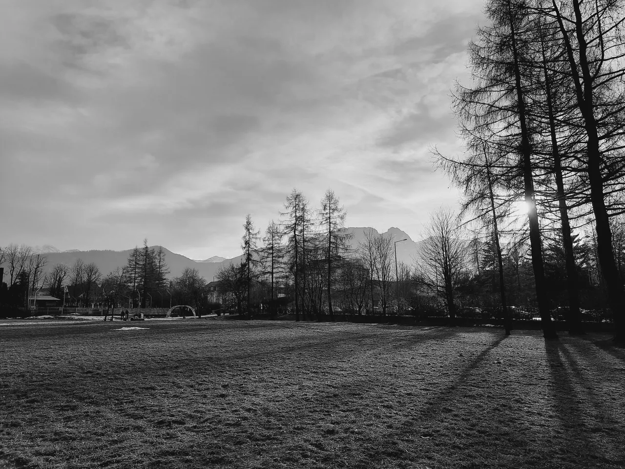 20220102_135339.jpeg