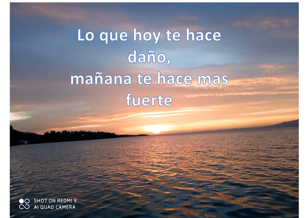 frase.png