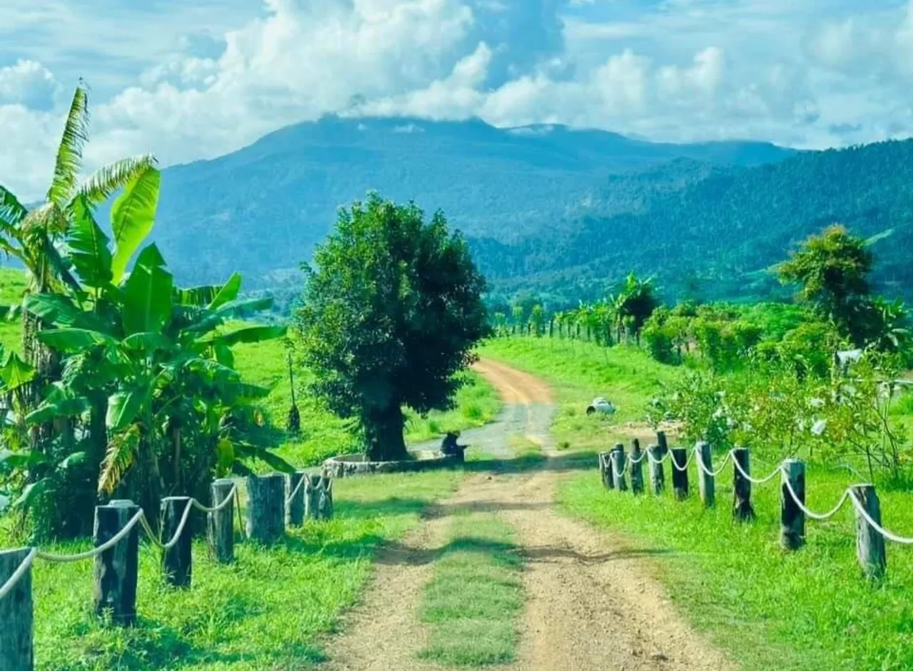 The Greenery of the place