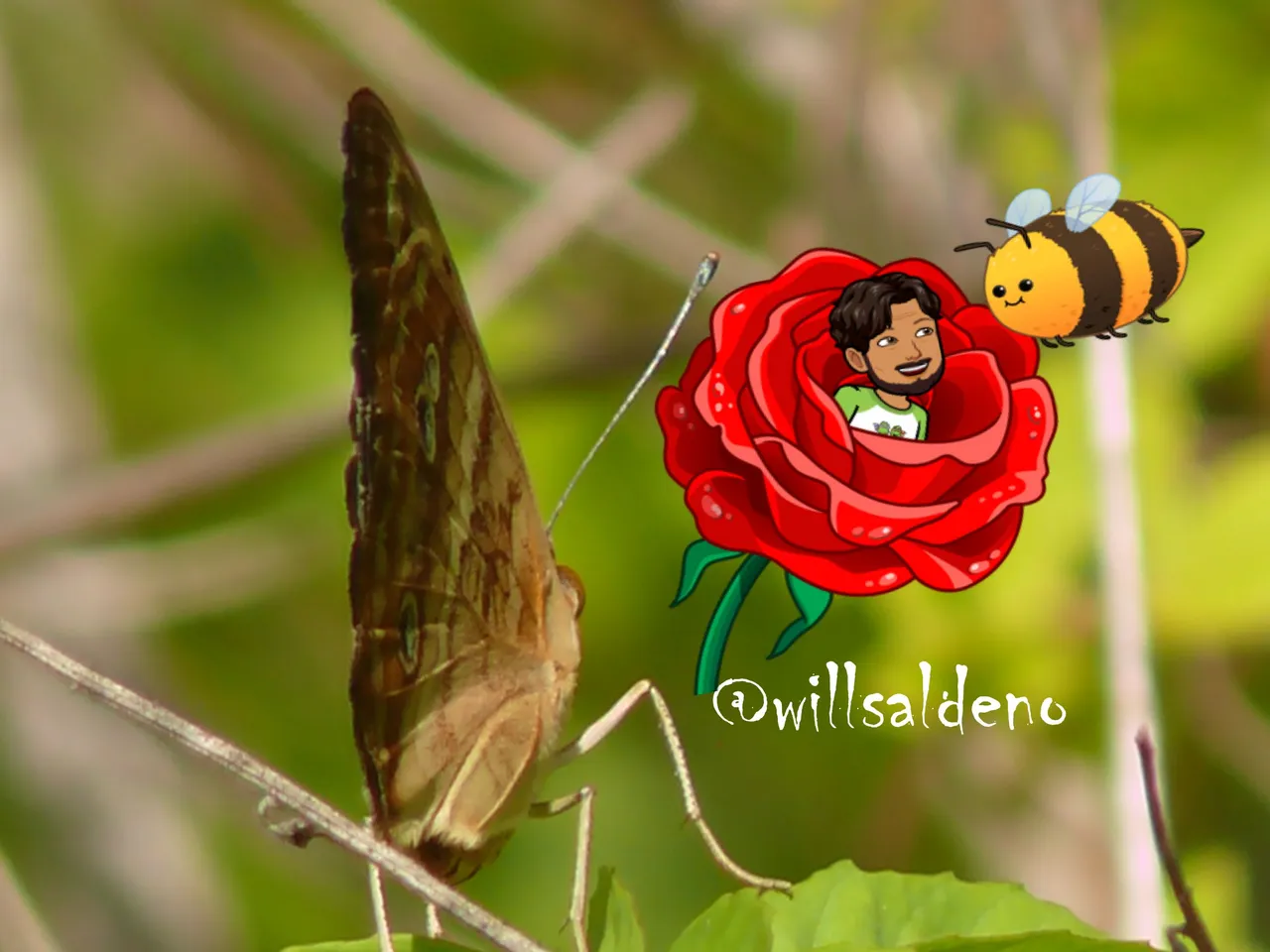 mariposa y bitmoji.jpg
